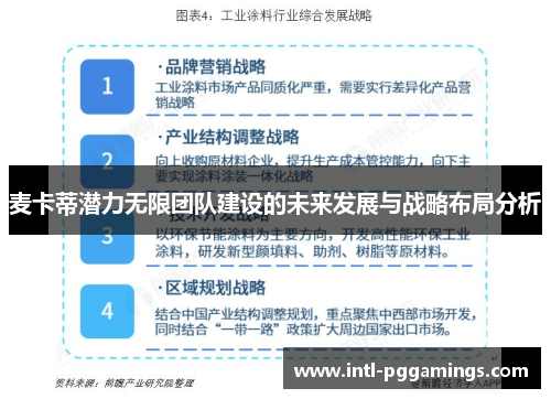 麦卡蒂潜力无限团队建设的未来发展与战略布局分析